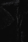 Empire Oversized Longline Cocoon Teddy Coat in Black