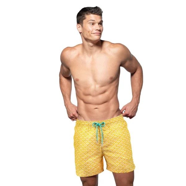 Cameo Shell - 6 Mid-Length Hybrid Shorts