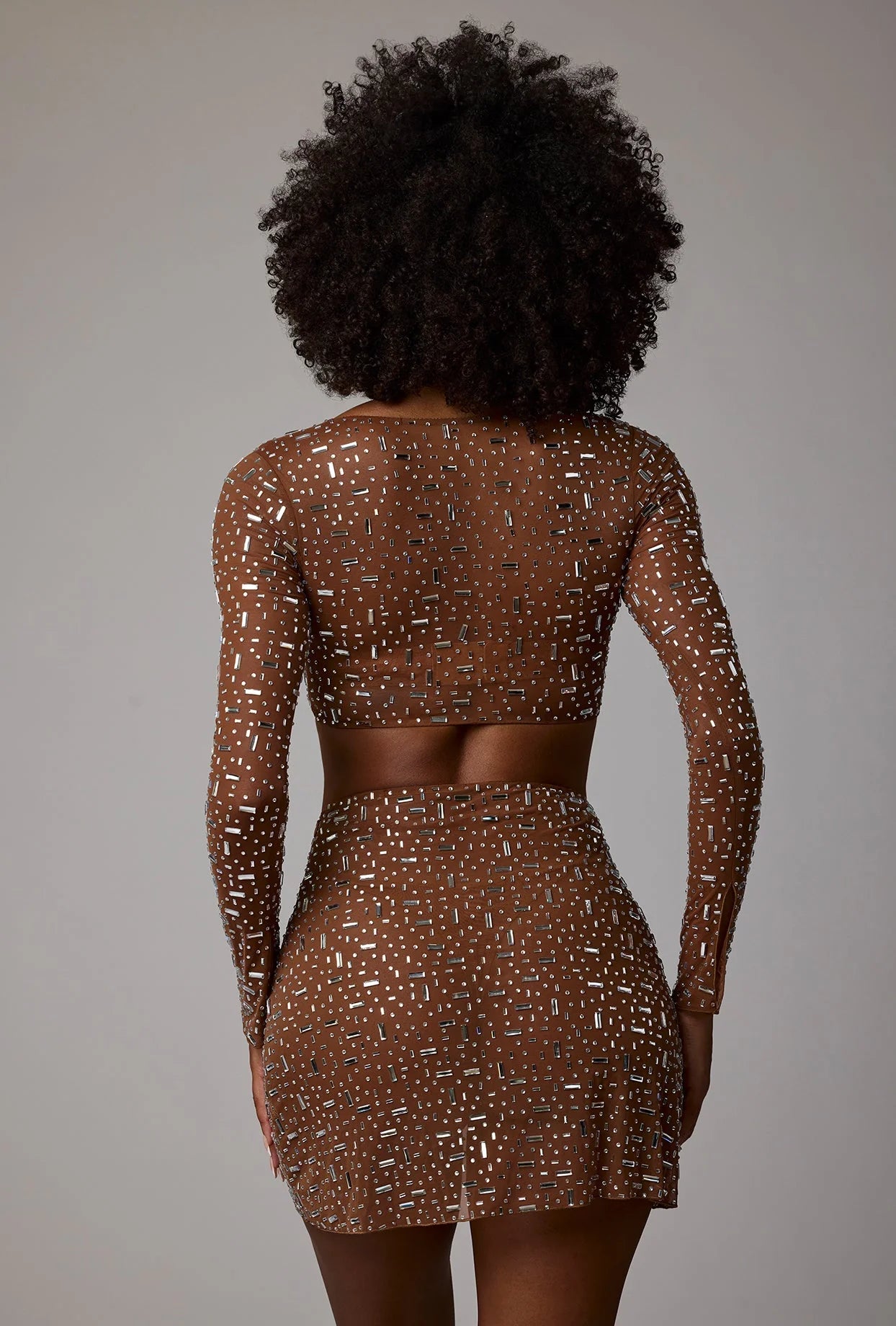 Sheer Embellished Long Sleeve Crop Top in Mocha